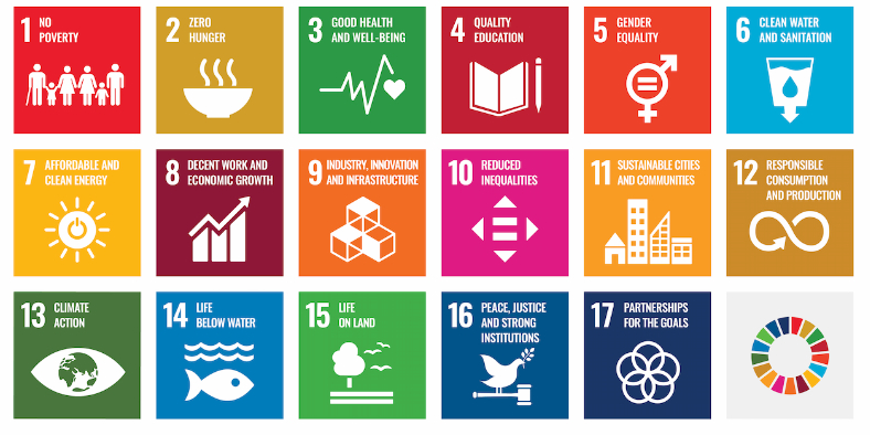 The 2030 Agenda: sustainable development goals